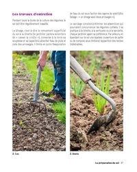 Le traité Rustica cultiver et glaner au fil des saisons. 200 légumes, fruits, céréales, plantes sauvages et champignons