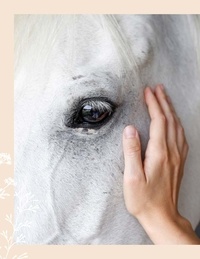Communiquer avec son cheval. Apprenez à le comprendre et à interagir avec lui au quotidien !