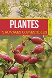 Losange - Plantes sauvages comestibles.