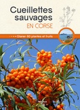  Losange - Cueillettes sauvages en Corse - Glaner plantes et fruits.