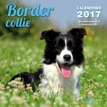 Collectif - Calendrier border collie.
