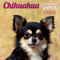  Collectif - Calendrier chihuahua.