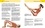  Losange - Yoga : les 30 postures essentielles - 150 exercices.