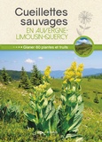 Losange et Philippe Chavanne - Cueillettes sauvages en Auvergne-Limousin-Quercy - 60 plantes et fruits à glaner.