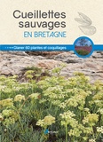  Losange et Philippe Chavanne - Cueillettes sauvages en Bretagne - 60 plantes, fruits et coquillages à glaner.