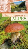  Losange - Champignons des Alpes.