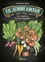 Chloé Chamouton Meillarec - Vers l'autonomie alimentaire - Cueillir, cultiver, cuisiner, conserver les plantes & les légumes.