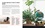 Lisa Eldred Steinkopf - Ma déco intérieure avec des plantes - Projets DIY pour embellir son chez-soi.
