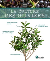 Jean-Marie Polese - La culture des oliviers.