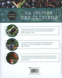 La culture des oliviers