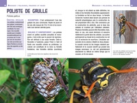 Pour reconnaître les insectes