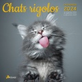  Artémis - Chats rigolos - Calendrier de septembre 2023 à décembre 2024.