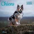  Artémis - Chiens - Calendrier de septembre 2023 à décembre 2024.