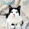  Collectif - Calendrier Chats 2025.