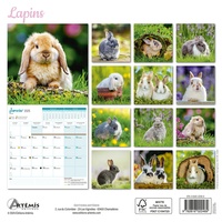 Calendrier Lapins 2025. 0
