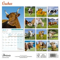 Calendrier Vaches 2025. 0