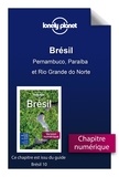  Lonely planet fr - GUIDE DE VOYAGE  : Brésil - Pernambuco, Paraíba et Rio Grande do Norte.