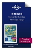  Lonely planet eng - GUIDE DE VOYAGE  : Indonésie - Comprendre l'Indonésie et Indonésie pratique.