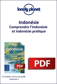  Lonely planet eng - GUIDE DE VOYAGE  : Indonésie - Comprendre l'Indonésie et Indonésie pratique.
