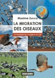 Maxime Zucca - La migration des oiseaux - Comprendre les voyageurs du ciel.