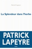Patrick Lapeyre - La splendeur dans l'herbe.