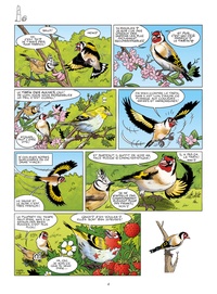 Les oiseaux en bande dessinée Tome 3