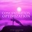 Frédéric Garnier et Katie Haigh - Concentration Optimization.