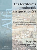 Mihoub Mezouaghi - Les territoires productifs en question(s) - Transformations occidentales et situations maghrébines.
