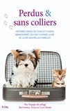  Battersea Dogs & Cats Home - Perdus & sans colliers.