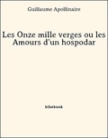 Guillaume Apollinaire - Les Onze mille verges ou les Amours d'un hospodar.