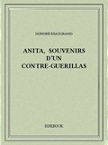 Honoré Beaugrand - Anita, souvenirs d’un contre-guerillas.
