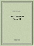 Hector Malot - Sans famille II.