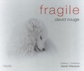 David Rouge - Fragile.