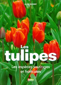 Alain Richert - Le jardin de tulipes.