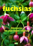  Jules César - Les Fuchsias. Edition 1996.
