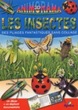 Daniel Boudineau et C Boudineau - Les insectes - Des pliages fantastiques sans collage.