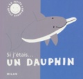 Christophe Loupy et Isabelle Loupy - Si j'étais un dauphin.