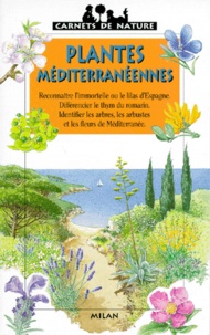 Frédéric Lisak - Plantes méditerranéennes.