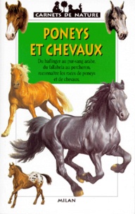 Gilles Delaborde - Poneys et chevaux.