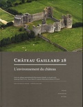 Peter Ettel et Anne-Marie Flambard Héricher - Château Gaillard 28 - Etudes de castellologie médiévale. L'environnement du château.