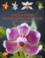 Pascal Descouvrières - Encyclopédie des orchidées tropicales - 1200 espèces, plus de 1000 photographies.