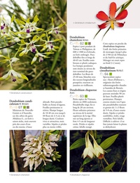 Encyclopédie des orchidées tropicales. 1200 espèces, plus de 1000 photographies