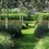 Didier Willery - Les plus beaux jardins de graminées.