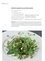 Meret Bissegger - La cuisine des plantes sauvages - 130 recettes simples à réaliser avec les plantes de nos campagnes.