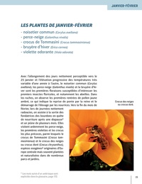 Les plantes mellifères mois par mois. Connaître les 100 plantes les plus intéressantes pour les abeilles de janvier à décembre