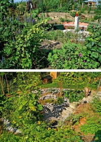 La permaculture dans un petit jardin. Créer un jardin auto-suffisant