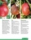 Jean-Michel Groult - Tomates, les variétés qui ont du goût et comment les cultiver.