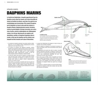 Baleines et dauphins. Histoire naturelle et guide des espèces