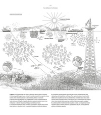 Méduses & autres organismes gélatineux