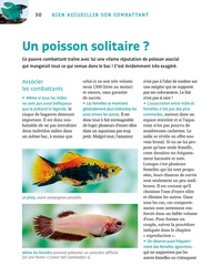 Poissons combattants